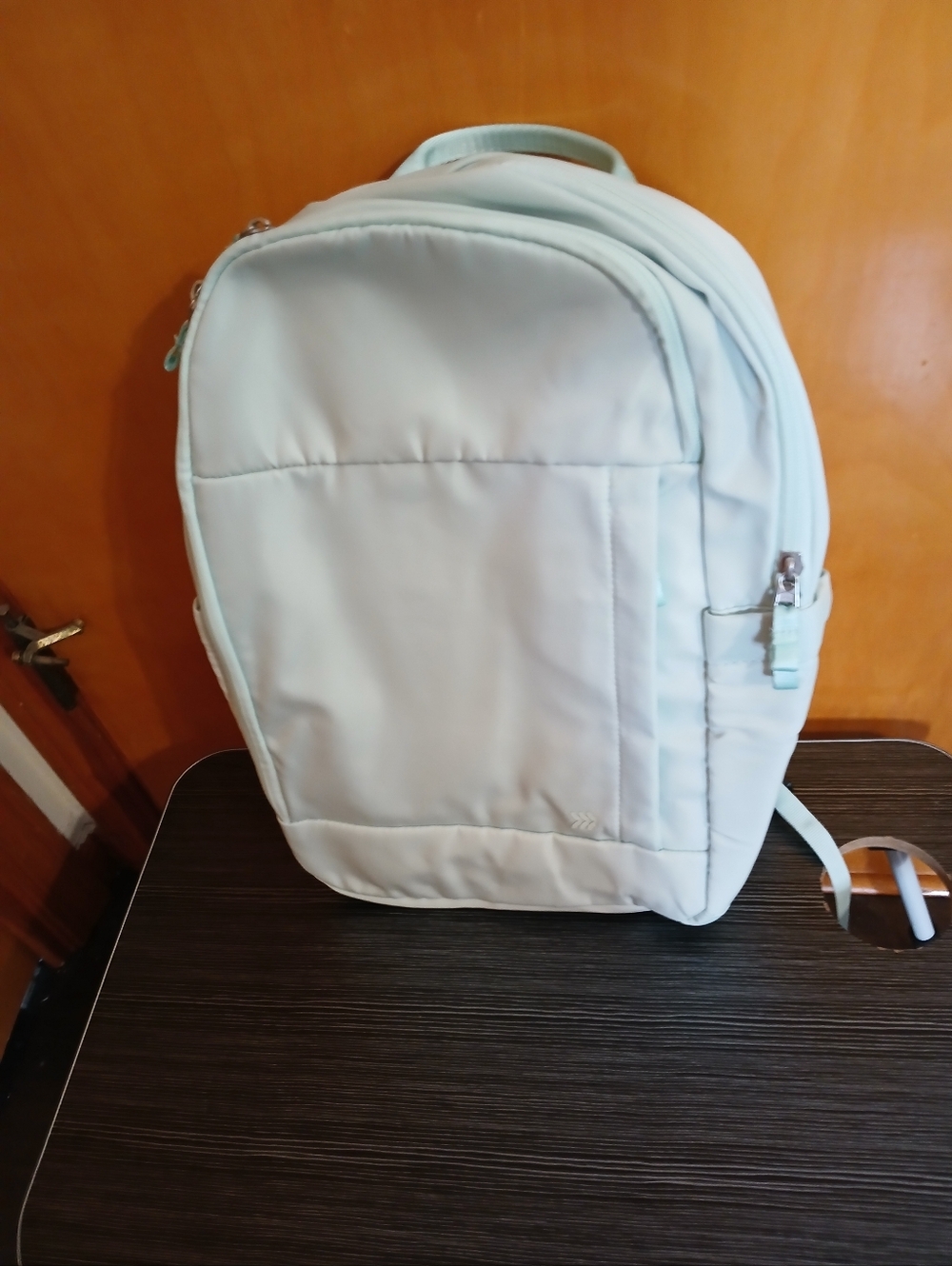 Elegant Mint Laptop Backpack